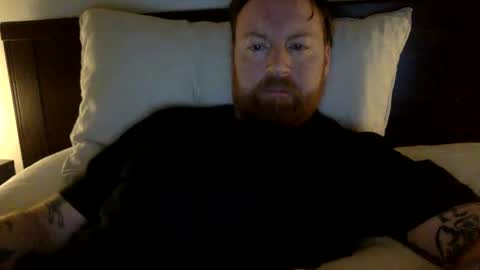 Beewolf online show from December 2024 02:43:01 AM