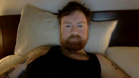 Beewolf online show from December 2024 03:58:02 AM