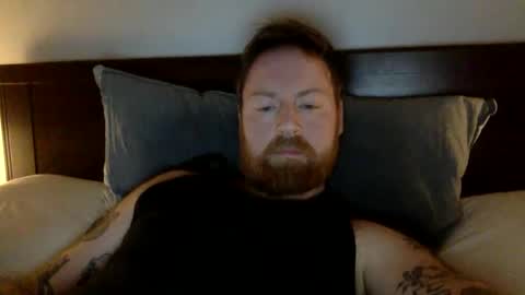 Beewolf online show from February 2025 10:25:01 PM