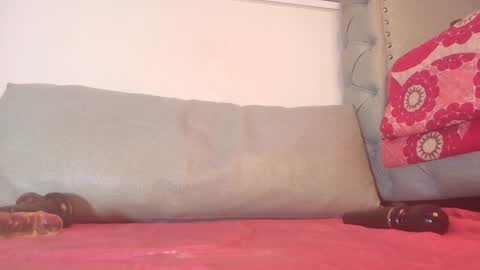 Snapshot of begoniia_ chatting on December 2024 09:31:01 AM Begonia online show from December 2024 09:31:01 AM