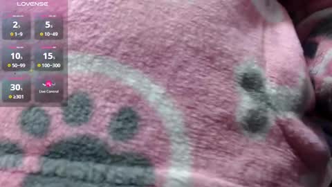 bekkasquirt online show from January 2025 12:21:02 AM