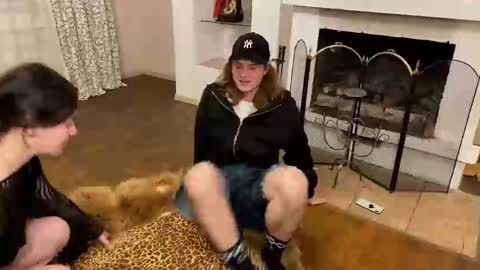 Baila online show from November 2025 09:58:01 PM