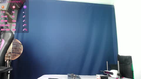   online show from January 2025 01:09:01 PM