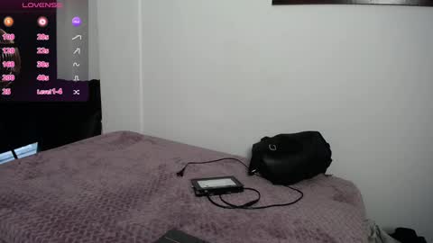   online show from January 2025 01:09:01 PM