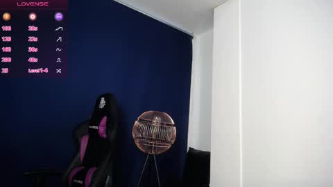   online show from January 2025 01:04:01 PM