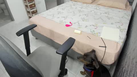 Bella  Angelycal online show from February 2025 10:26:02 PM