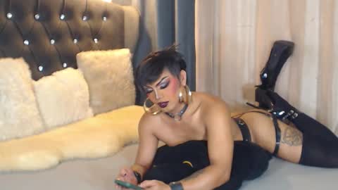 B E L L A T R I X online show from October 2025 09:29:01 AM