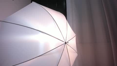 Bella Wild online show from February 2026 12:00:01 PM