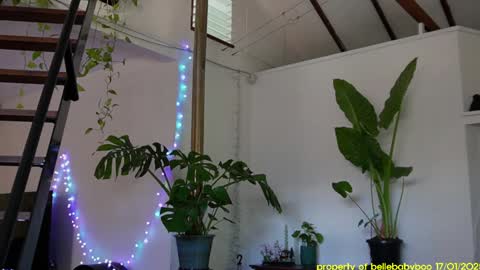 Snapshot of bellebabyboo chatting on January 2025 04:48:01 AM BELLE online show from January 2025 04:48:01 AM