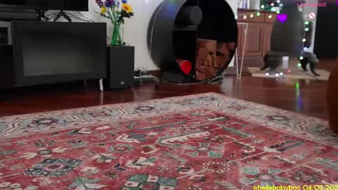 Snapshot of bellebabyboo chatting on March 2025 01:12:01 AM BELLE online show from March 2025 01:12:01 AM