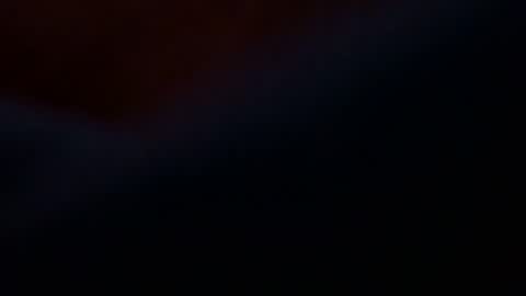 belylover2323 online show from February 2026 10:36:01 AM