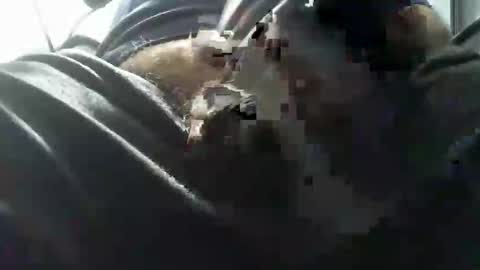 beninoam75 online show from October 2025 07:03:02 PM