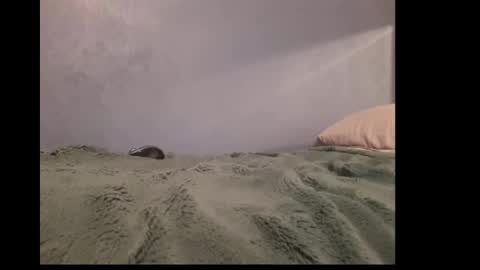 beobenshauna online show from December 2024 10:02:01 AM