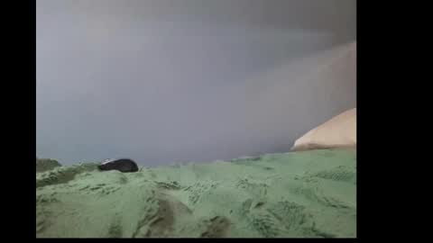 beobenshauna online show from January 2025 10:37:01 AM