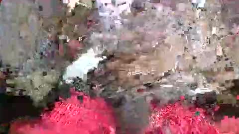 Snapshot of bertdollaz757 chatting on May 2026 05:19:02 PM ToxicPipe757 online show from May 2026 05:19:02 PM