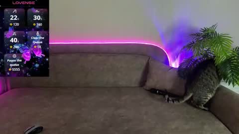 Teya online show from April 2026 03:06:01 PM