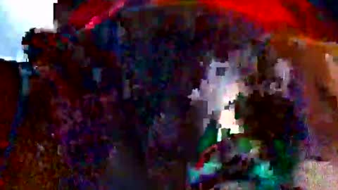 Bethany Wilson online show from February 2026 11:40:02 AM