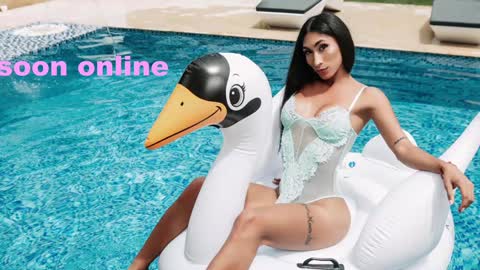 Nicolle Aviles online show from January 2025 11:17:01 AM