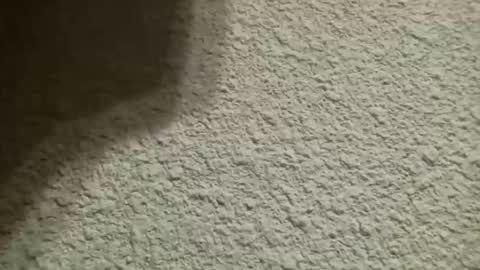 Bigfish123 online show from October 2025 04:44:02 AM