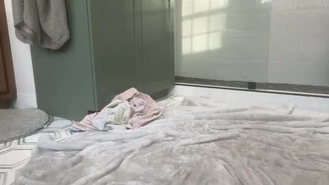 bi3269 online show from March 2026 10:05:01 PM