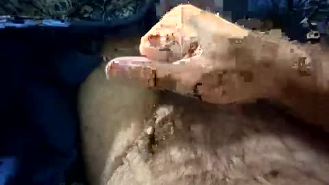 big88385909 online show from October 2025 12:11:01 AM