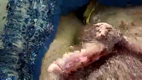 big88385909 online show from November 2025 12:44:01 AM