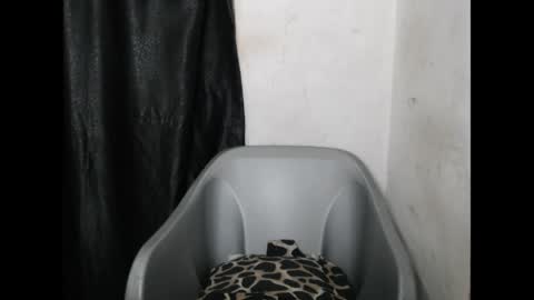 bigassdrip online show from April 2026 07:06:01 PM