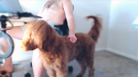 Snapshot of bigbadwolfbulge chatting on February 2026 05:00:01 PM Alcide Herveaux online show from February 2026 05:00:01 PM