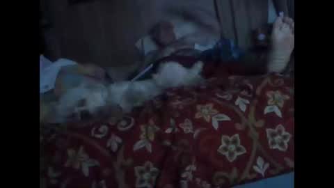 Snapshot of bigbenidick1 chatting on October 2025 01:28:02 AM BB online show from October 2025 01:28:02 AM