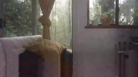 bigbossforsirius online show from December 2024 04:29:02 PM