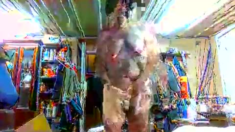 bigboy_604630544 online show from September 2025 01:16:02 PM