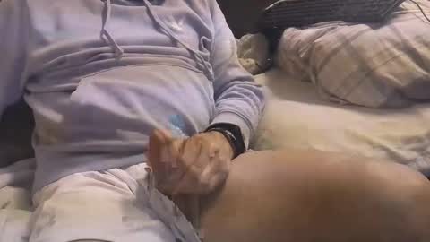 L e g a l    S t u f f Any UNAUTHORIZED use of this profile video pictures or audio in any form or in a forum now or in the fu online show from March 2025 04:58:02 AM