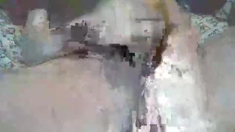 bigbr0wnc0ck69 online show from September 2025 04:50:01 PM