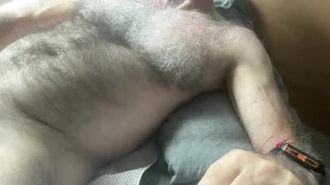 Snapshot of bigbush1 chatting on January 2025 05:16:01 AM big bush online show from January 2025 05:16:01 AM