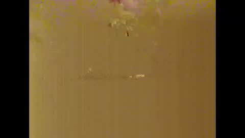 bigdaddydongarlets391292 online show from October 2025 08:06:01 AM