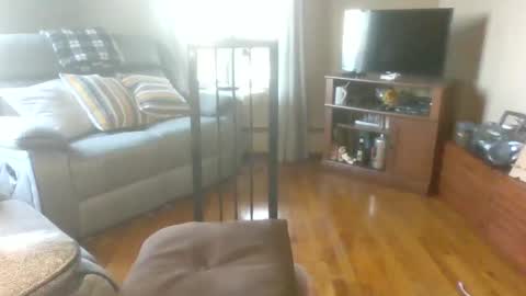 bigdeer58191747802843 online show from September 2025 10:37:02 AM