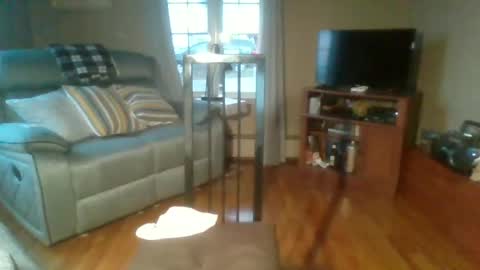 bigdeer58191747802843 online show from September 2025 09:55:02 AM