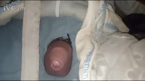 Big online show from February 2025 04:14:02 AM