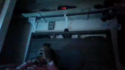 Snapshot of bigdickdaddy3200798456 chatting on December 2024 01:08:01 AM bigdickdaddy3200798456 online show from December 2024 01:08:01 AM