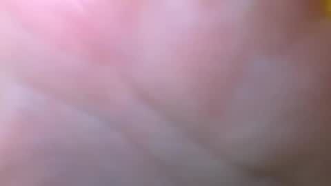 bigdickitalian137 online show from September 2025 08:35:01 PM