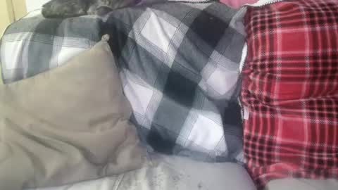 Snapshot of bigdicktrannynicole chatting on January 2025 12:56:01 PM bigdicktrannynicole online show from January 2025 12:56:01 PM