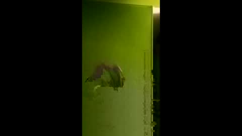 bigdog9thick online show from April 2026 08:04:02 AM