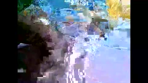 Mr Alpha online show from December 2024 02:41:02 AM