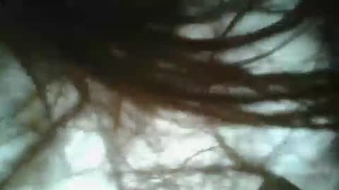 daddy online show from January 2025 03:42:02 PM