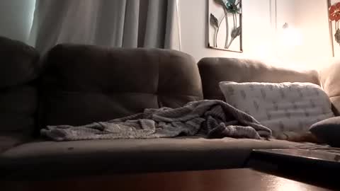 Snapshot of biglk324645168 chatting on March 2025 02:56:01 PM biglk324645168 online show from March 2025 02:56:01 PM