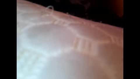 bigloggzz online show from January 2025 07:55:02 AM