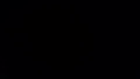 bigloggzz online show from February 2025 07:13:02 AM