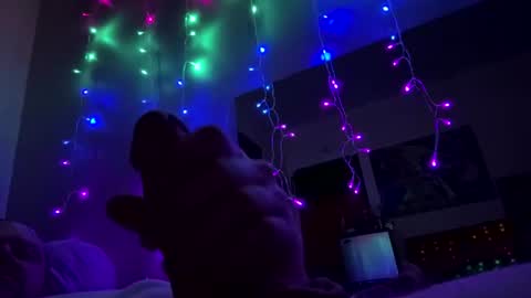 bigmerm333 online show from July 2026 07:00:01 AM
