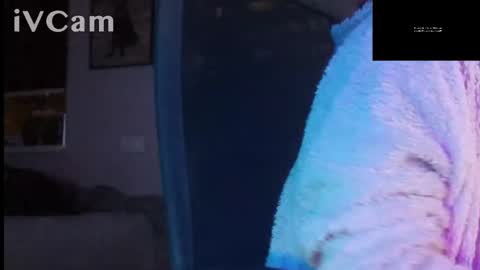 Snapshot of bigomale63 chatting on September 2025 03:19:02 AM Anton online show from September 2025 03:19:02 AM