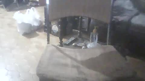 Snapshot of bigpenix chatting on February 2026 11:52:02 PM bigpenix online show from February 2026 11:52:02 PM